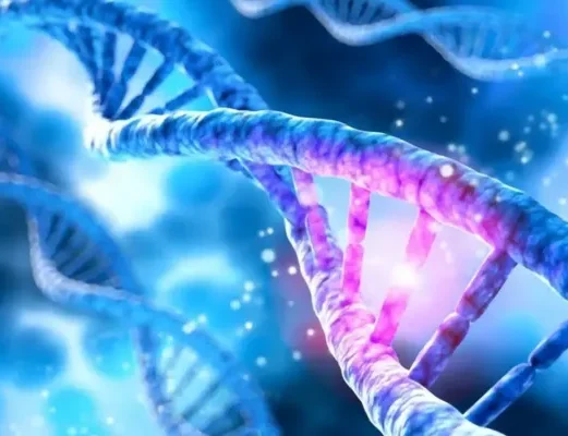 Cancer Genetics img
